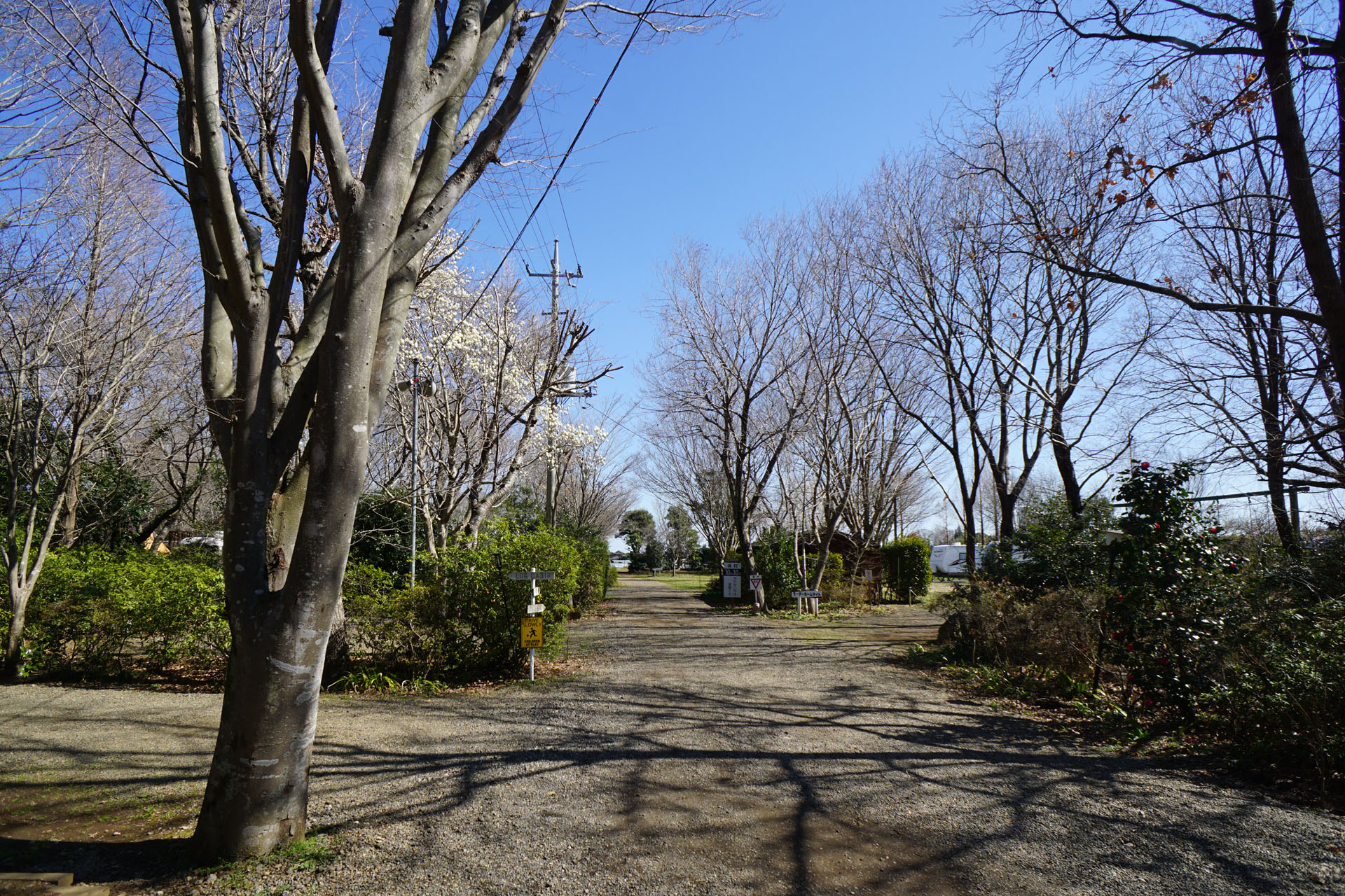 有野実苑オートキャンプ場