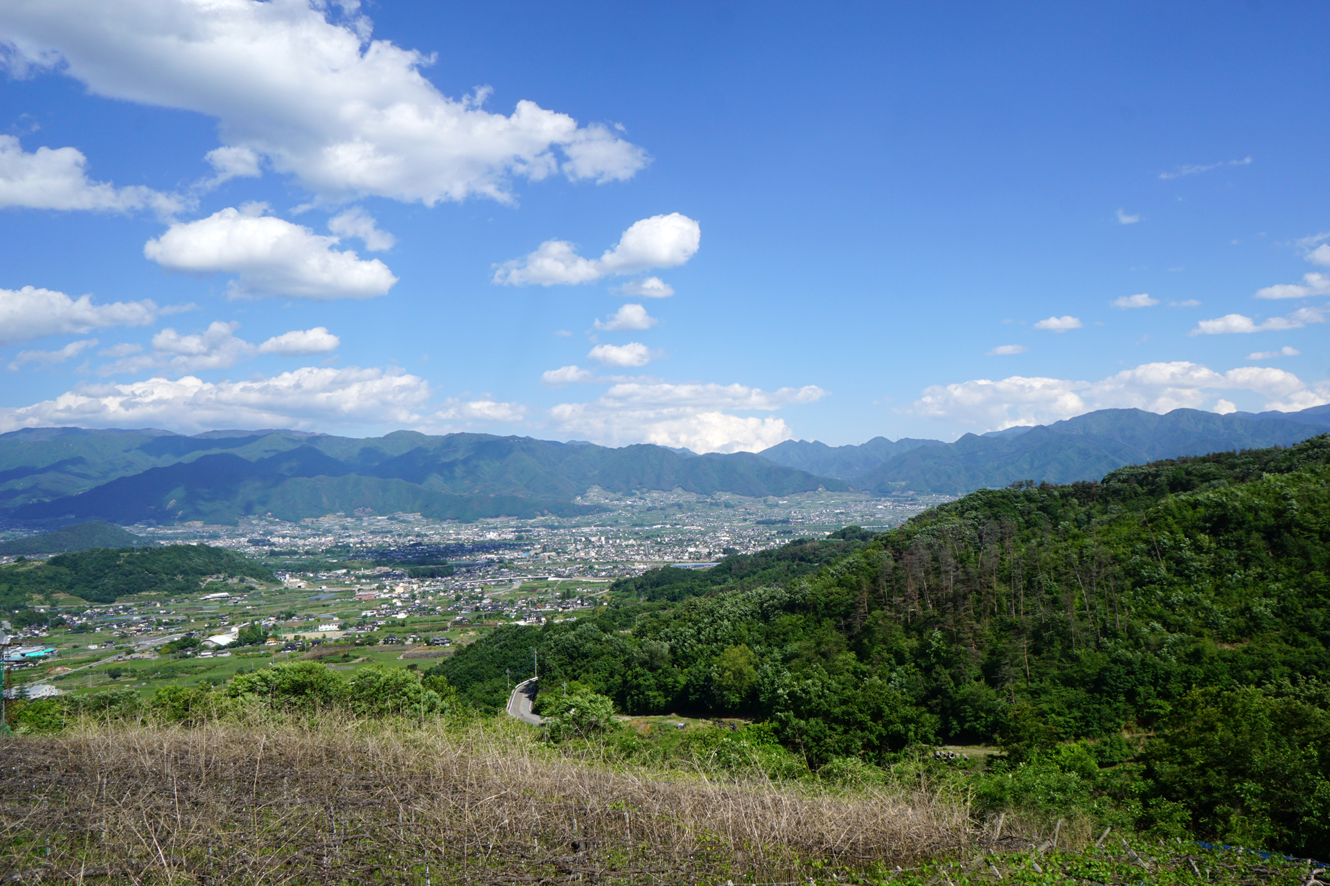 パインウッドオートキャンプ場