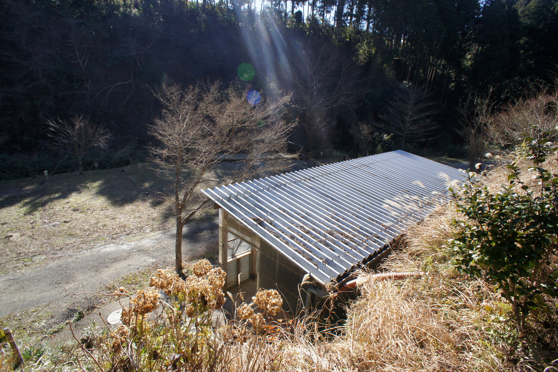 オートキャンプ七里川