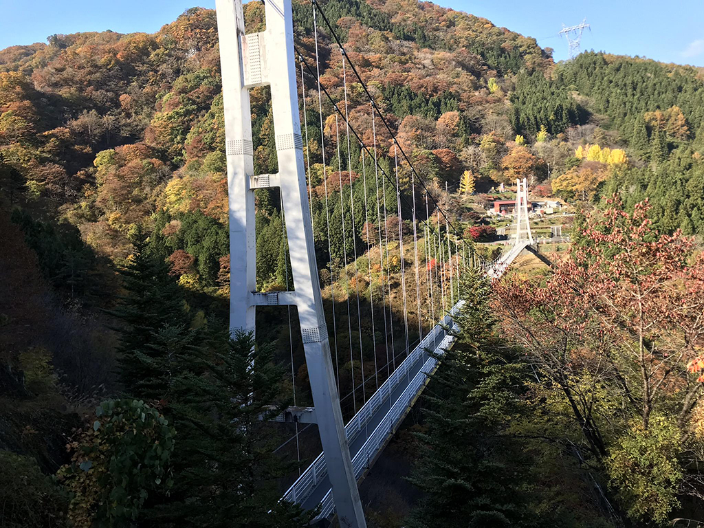 まほーばの森
