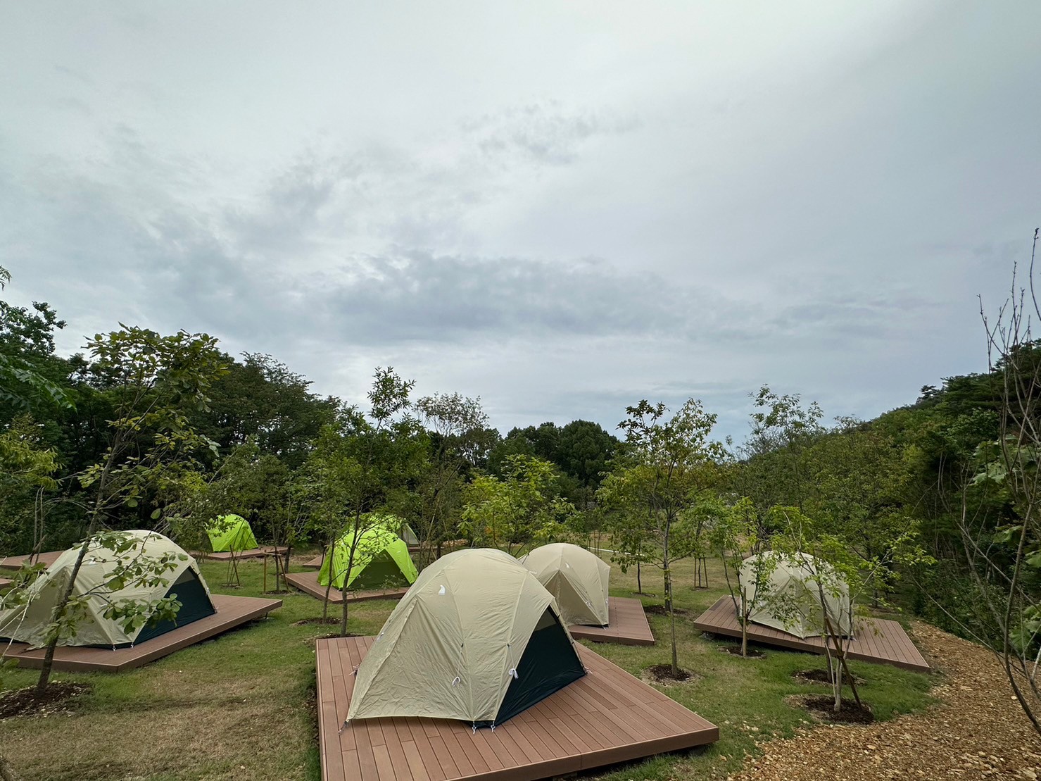 新稲の森キャンプ場