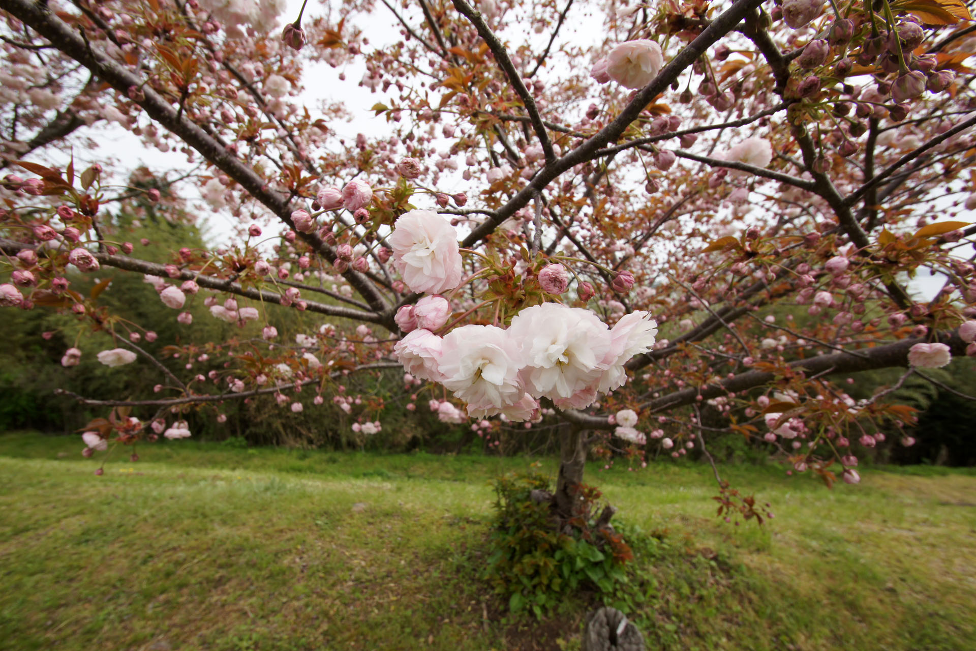 能登島家族旅行村Ｗｅランド