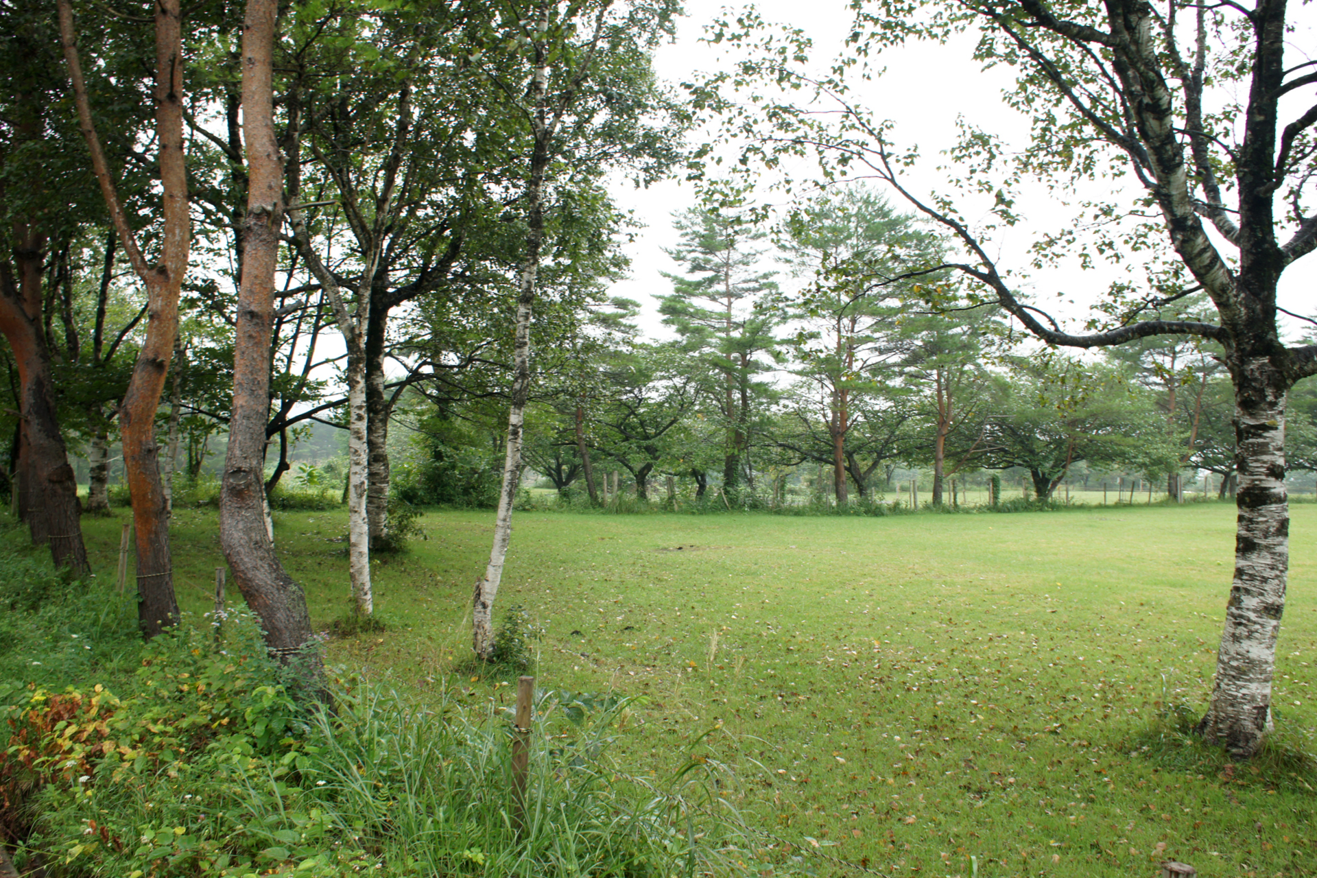 吹上高原キャンプ場
