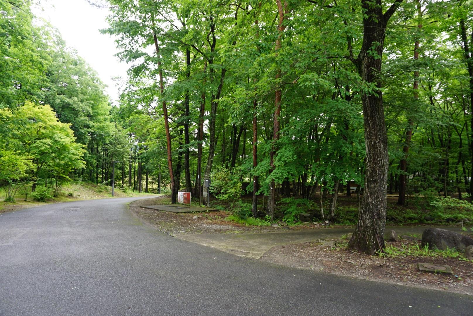 日光だいや川公園オートキャンプ場