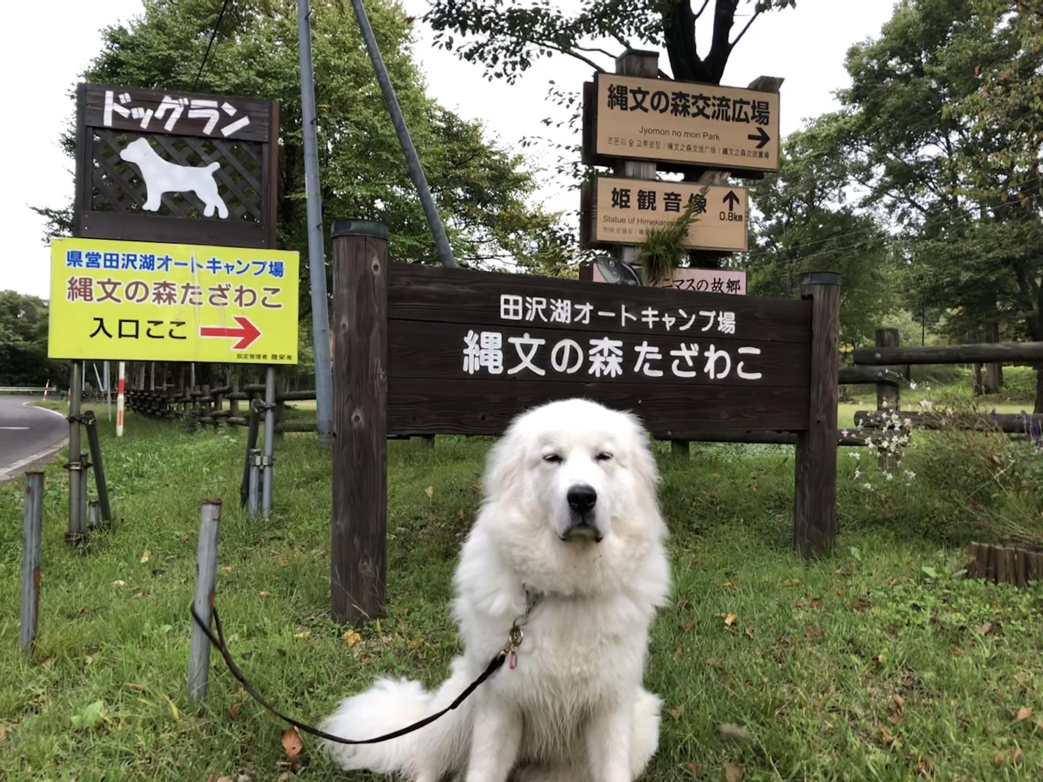田沢湖オートキャンプ場「縄文の森たざわこ」