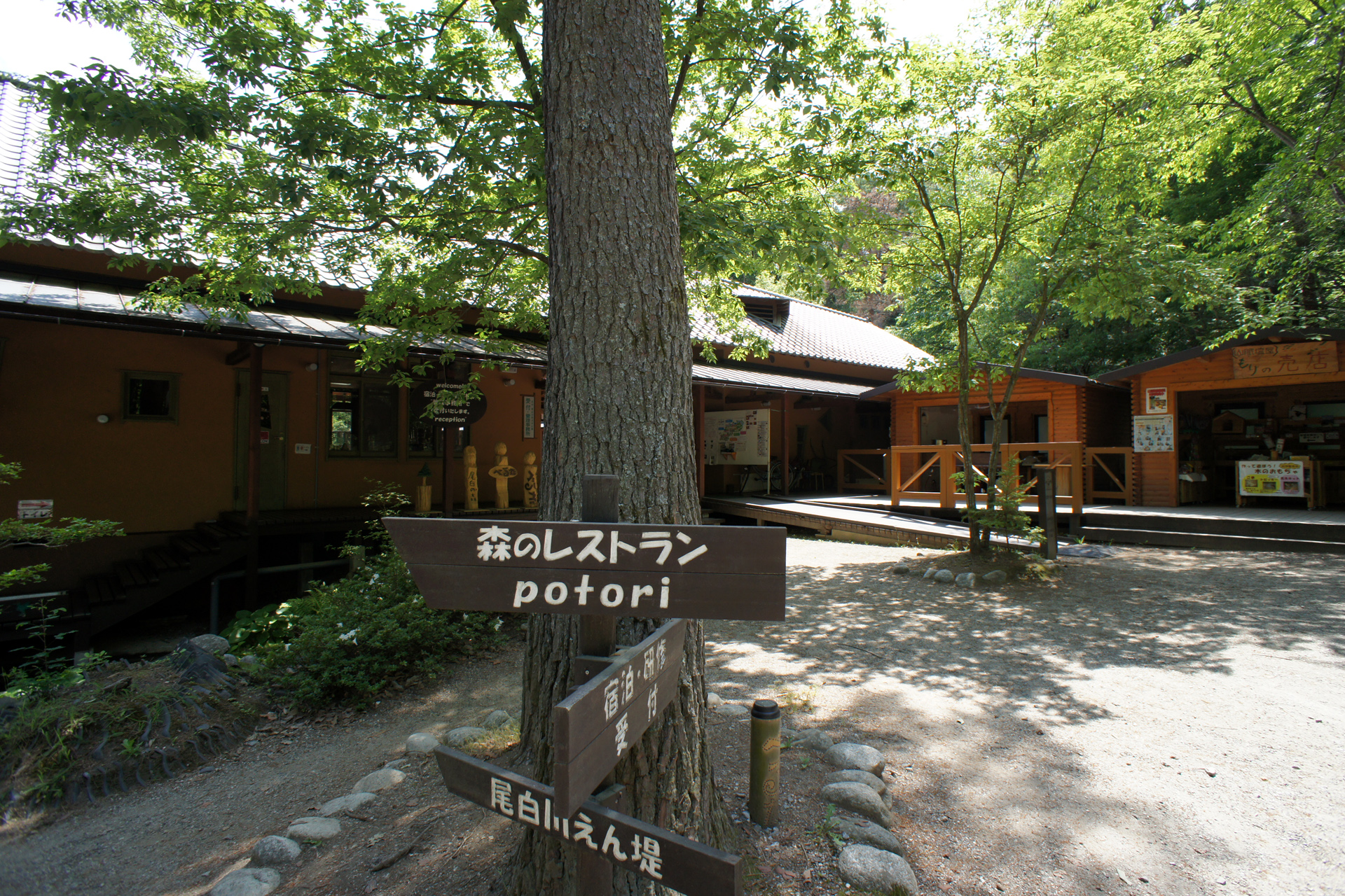 尾白の森キャンプ場