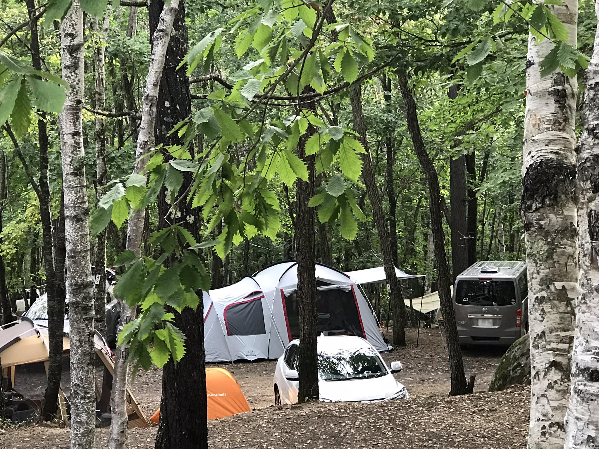 みずがき山森の農園キャンプ場
