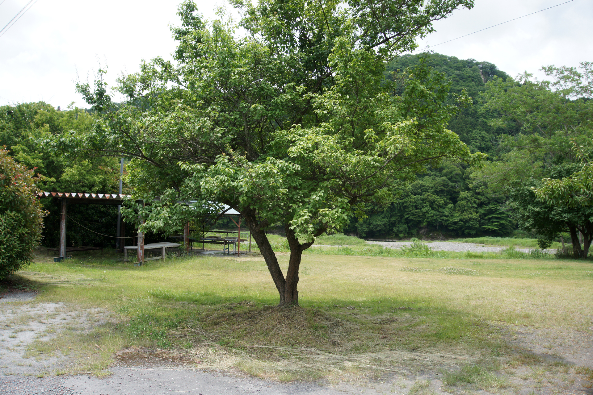 キャンプ村やなせ