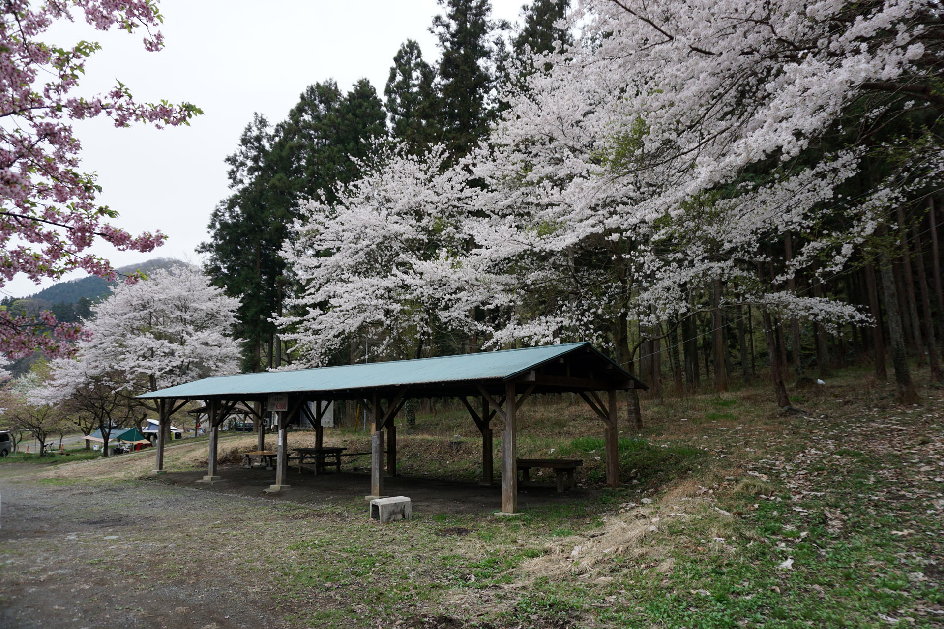 青野原オートキャンプ場