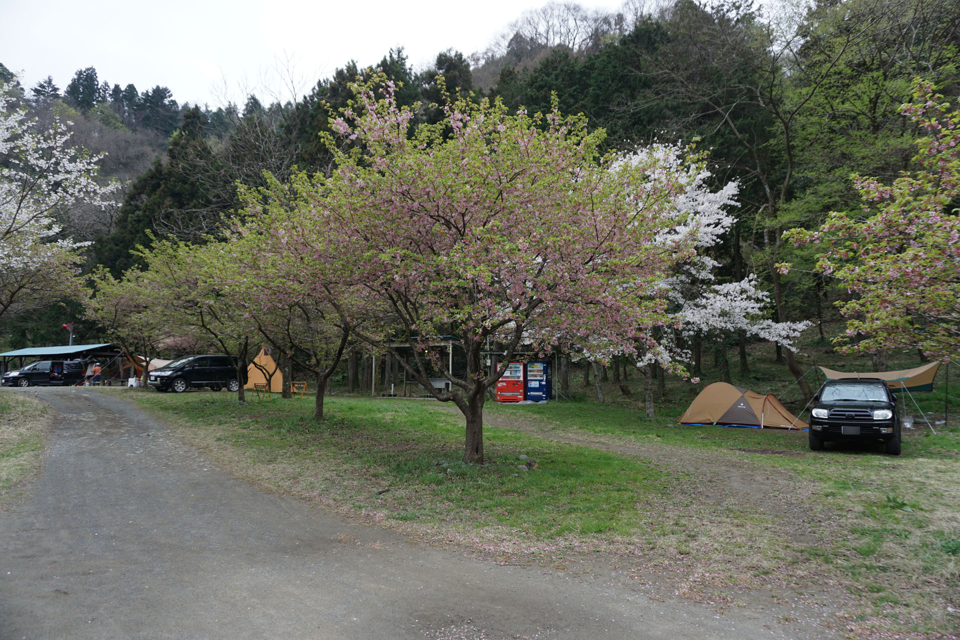 青野原オートキャンプ場