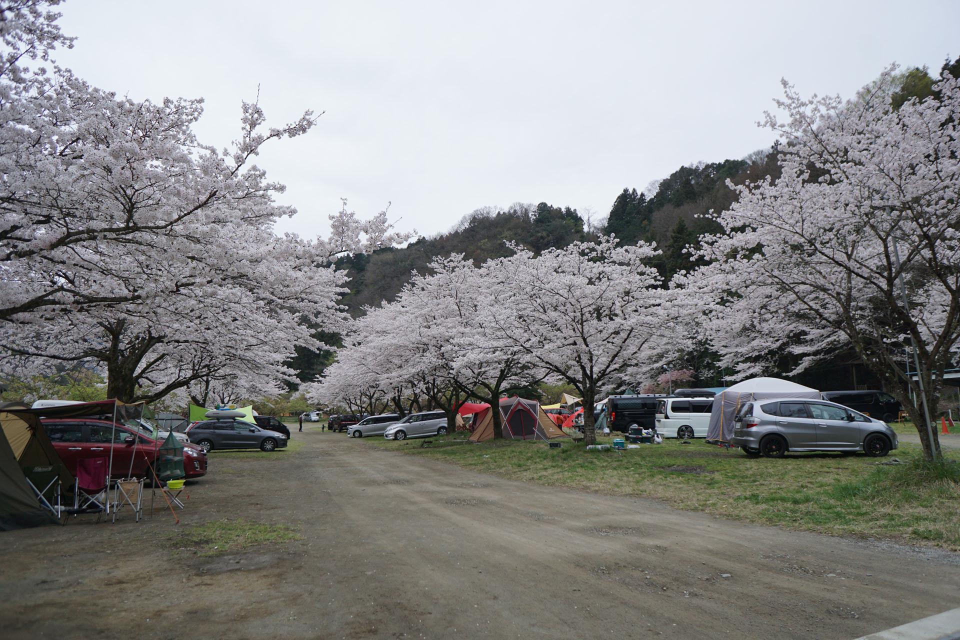 青野原オートキャンプ場