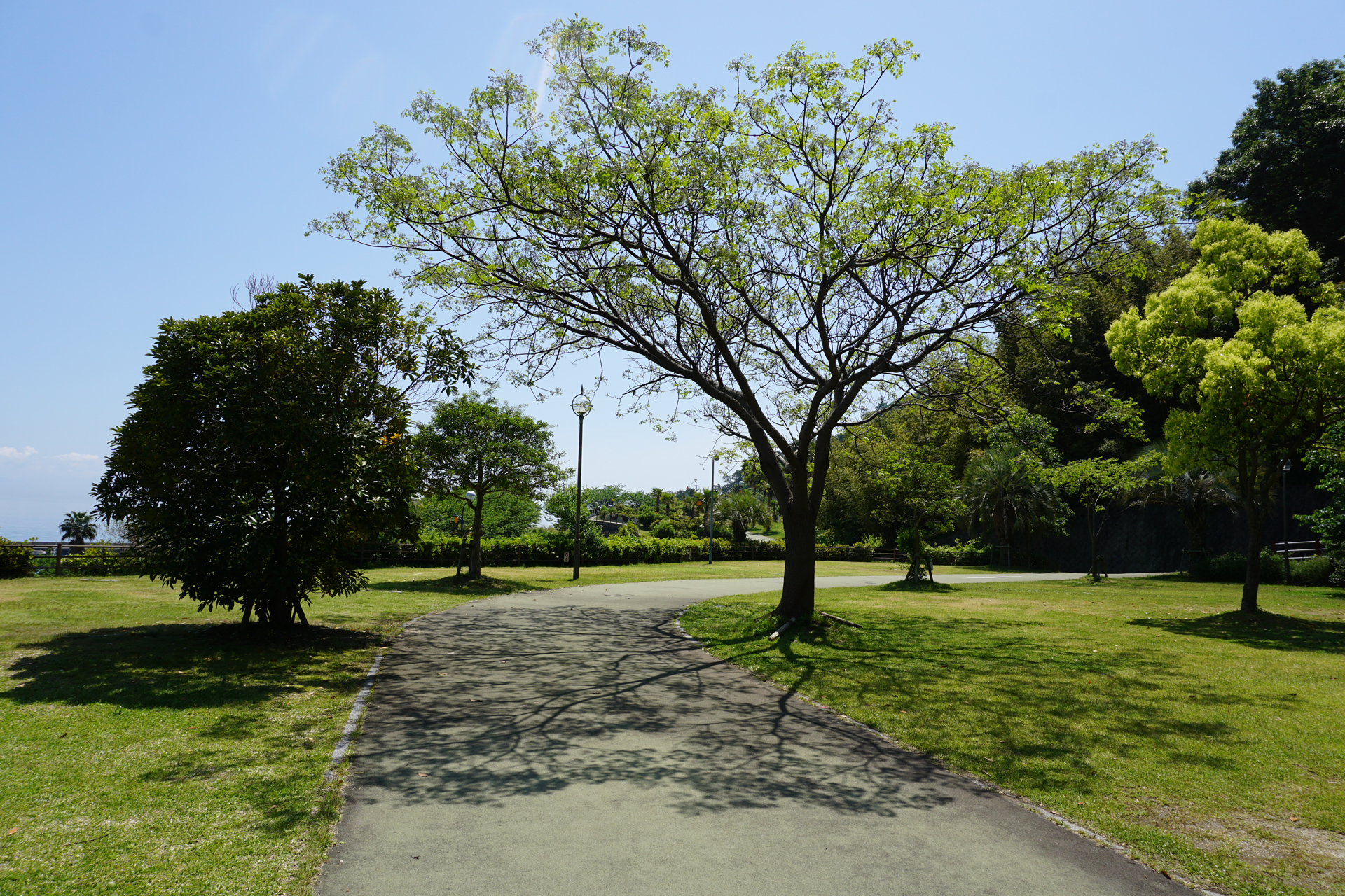 片添ヶ浜海浜公園オートキャンプ場