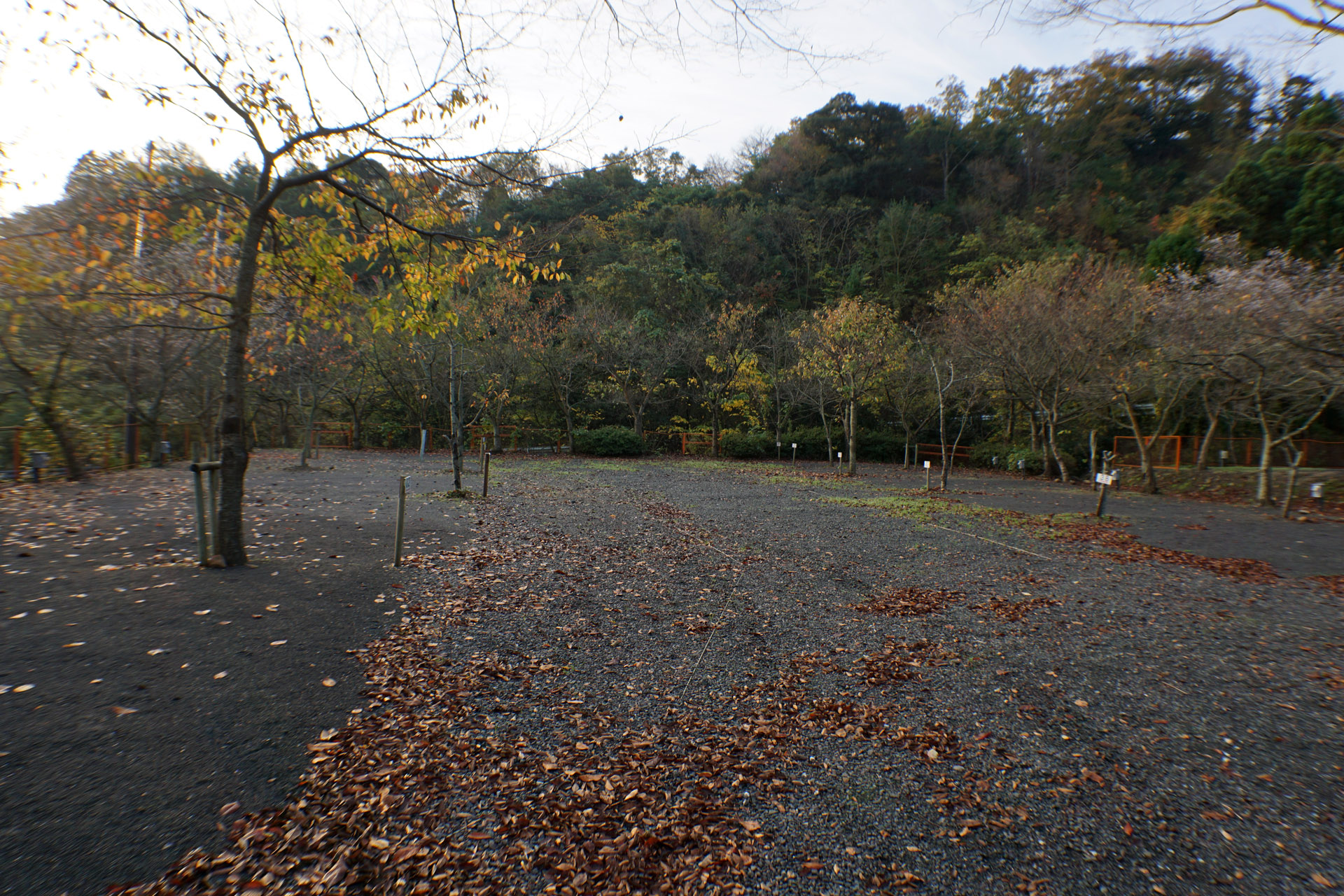 ヒロセオートキャンプ場