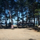 天神浜オートキャンプ場の写真