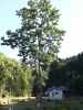 うらほろ森林公園