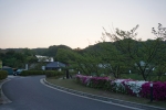 ウェルネスパーク五色オートキャンプ場